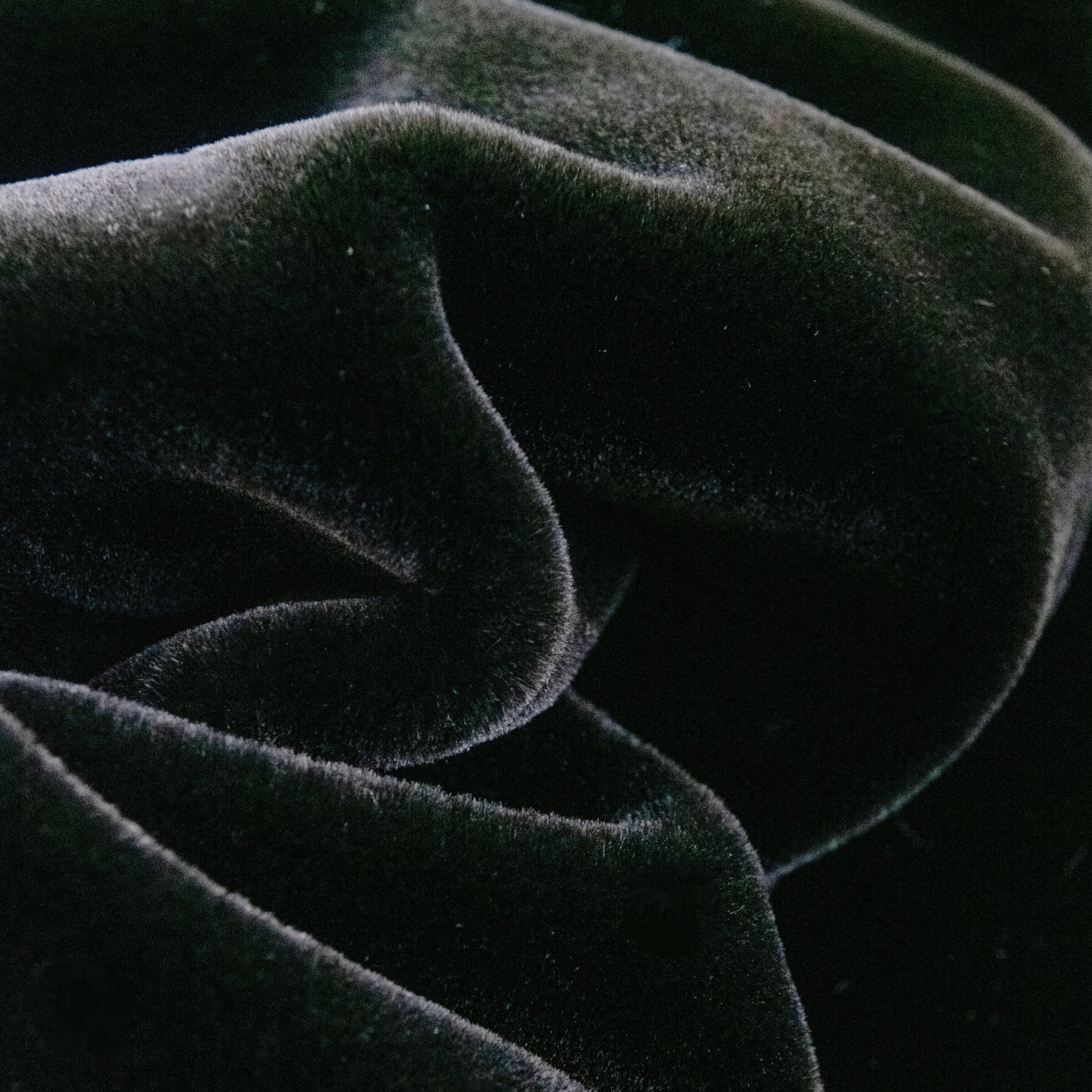 Faux fur fabric-PD-16