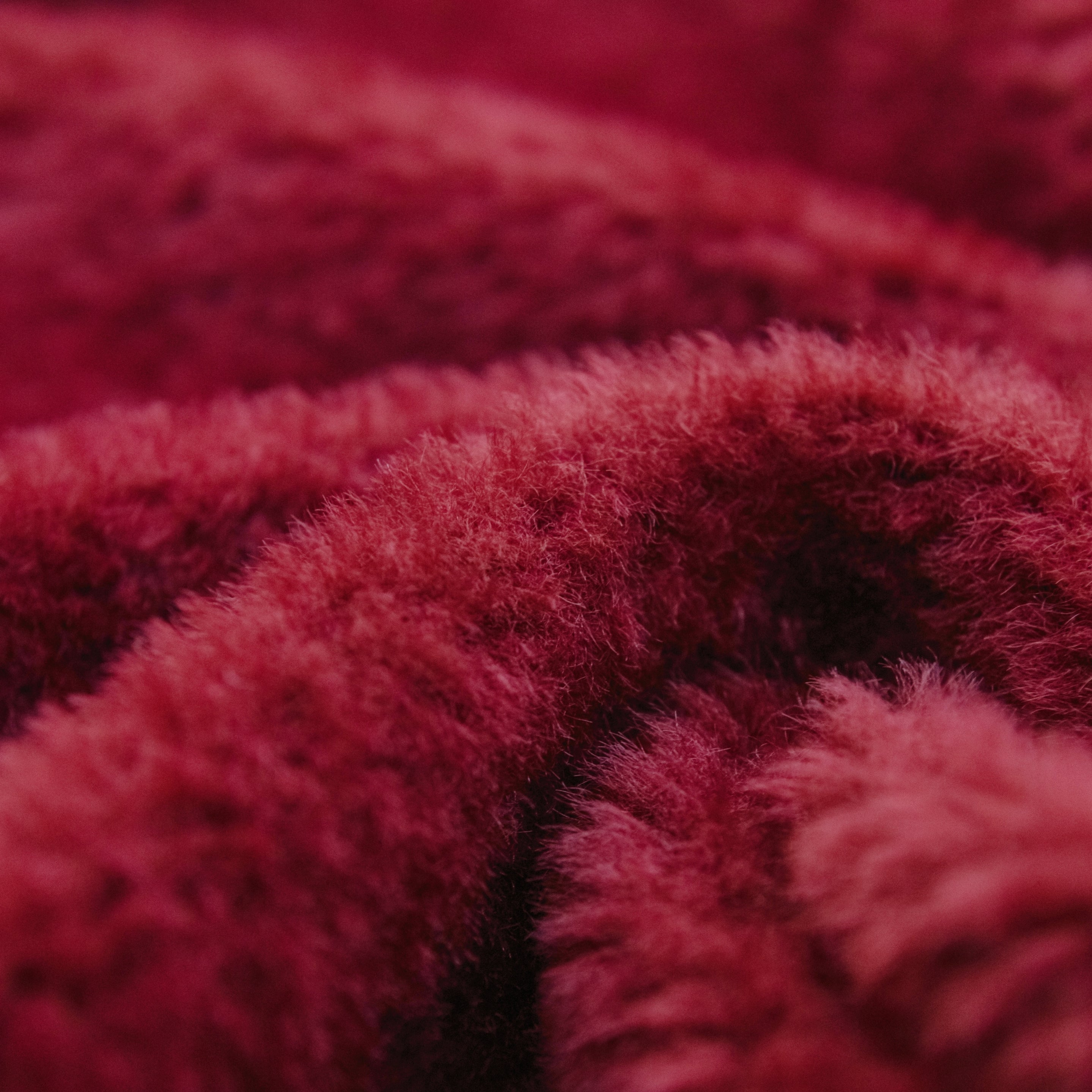 Faux fur fabric-LGYM-25